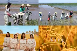 ILLIT、韓国農協の「米消費促進広報大使」に任命!メンバーが登場する「It’s 米」CM動画も話題に