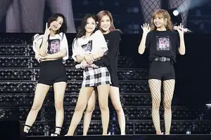 BLACKPINK、初の日本ツアーでファン熱狂! 幕張3DAYSの初日公演をレポート