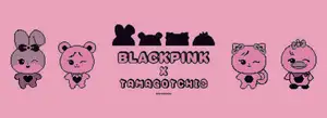 BLACKPINK、たまごっちとのコラボアイテムを全国のドン・キホーテ11店舗で販売（Kstyle）