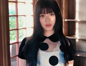 NewJeans ハニのビザ情報流出の疑い…警察が本格的な捜査に着手