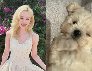 aespaのWINTER、愛犬をペットショップで購入?自ら説明「保護施設から連れてきた」(Kstyle)