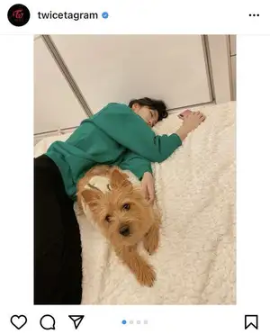 「可愛すぎる」「眠れる森の美女」TWICE・モモ、愛犬のそばで眠るリラックスショットに世界中で反響