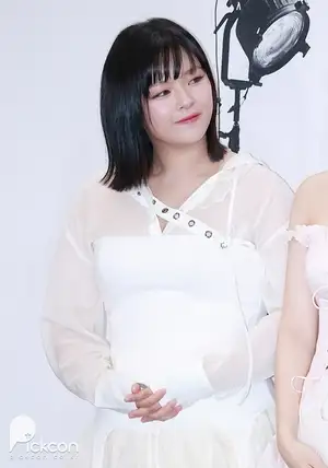 移籍：TWICEジョンヨン、JYPを離れ新たな出発を予告 「TWICEは変わりなく守っていく」（朝鮮日報日本語版）