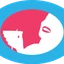 laineygossip.com